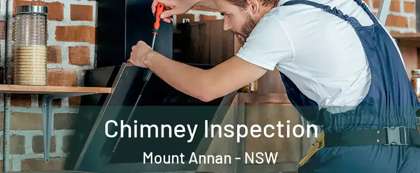 Chimney Inspection Mount Annan - NSW