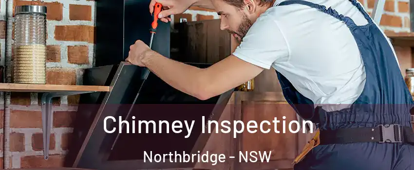 Chimney Inspection Northbridge - NSW
