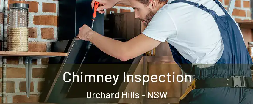 Chimney Inspection Orchard Hills - NSW
