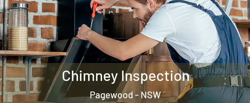 Chimney Inspection Pagewood - NSW