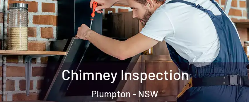 Chimney Inspection Plumpton - NSW