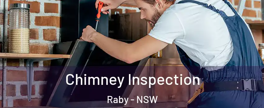 Chimney Inspection Raby - NSW