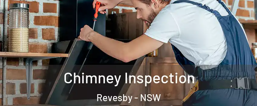 Chimney Inspection Revesby - NSW