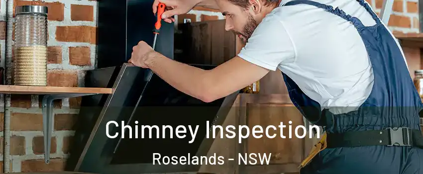 Chimney Inspection Roselands - NSW