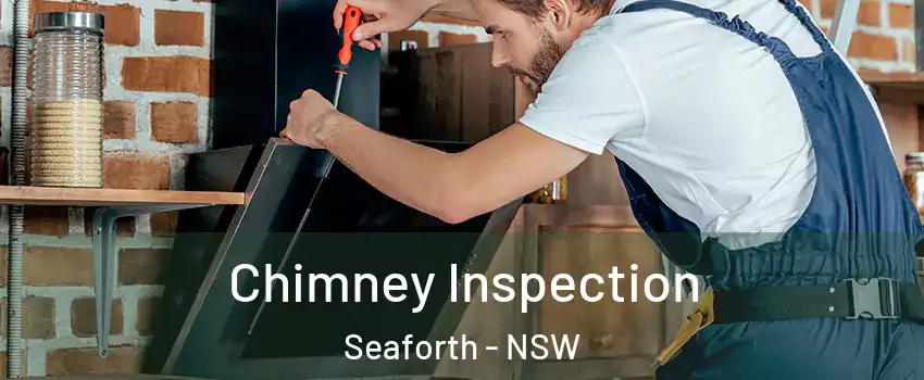 Chimney Inspection Seaforth - NSW
