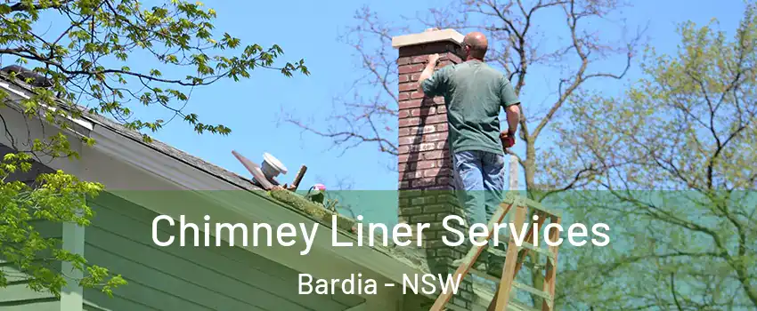 Chimney Liner Services Bardia - NSW