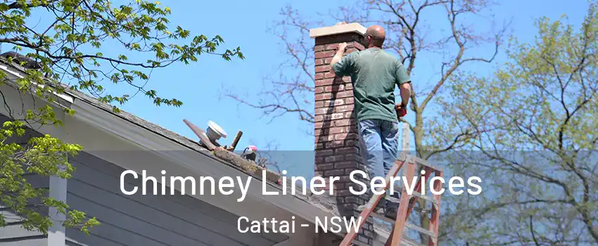 Chimney Liner Services Cattai - NSW