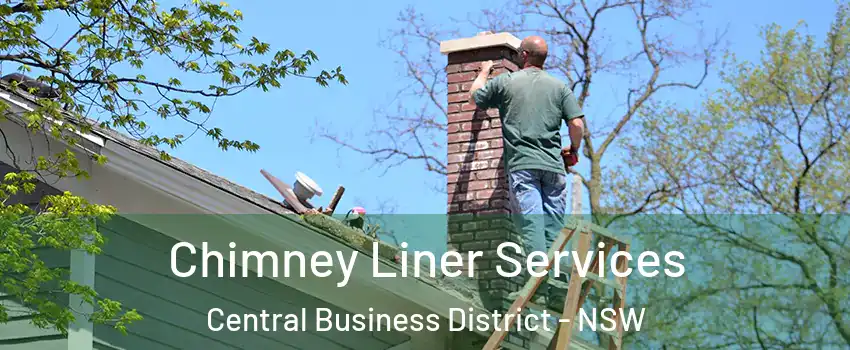 Chimney Liner Services Central Business District - NSW
