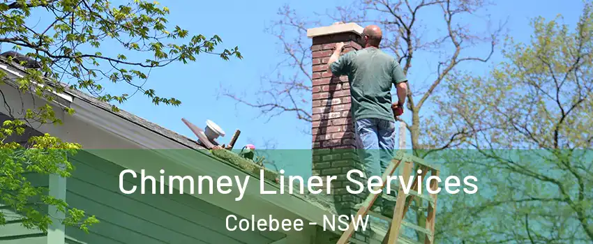 Chimney Liner Services Colebee - NSW