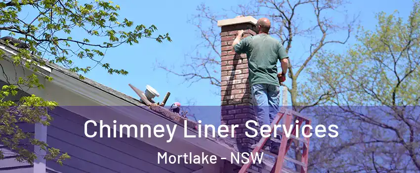 Chimney Liner Services Mortlake - NSW