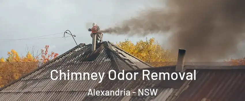 Chimney Odor Removal Alexandria - NSW