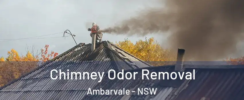Chimney Odor Removal Ambarvale - NSW