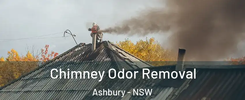 Chimney Odor Removal Ashbury - NSW