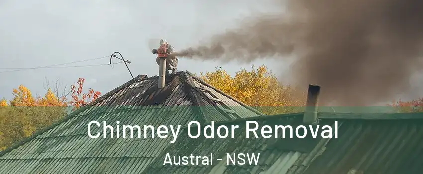 Chimney Odor Removal Austral - NSW
