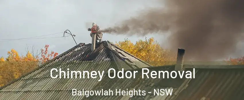 Chimney Odor Removal Balgowlah Heights - NSW