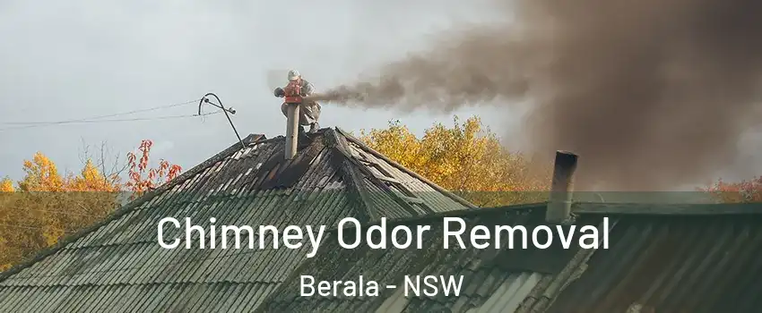 Chimney Odor Removal Berala - NSW