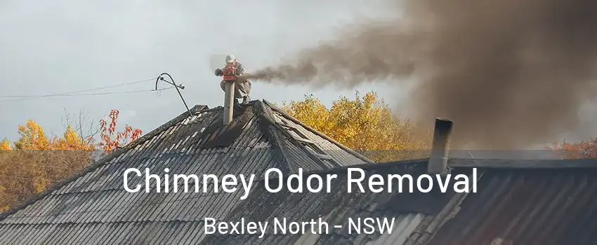 Chimney Odor Removal Bexley North - NSW