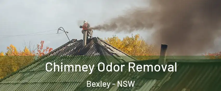 Chimney Odor Removal Bexley - NSW