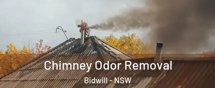Chimney Odor Removal Bidwill - NSW