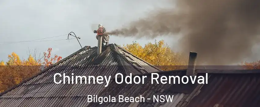 Chimney Odor Removal Bilgola Beach - NSW