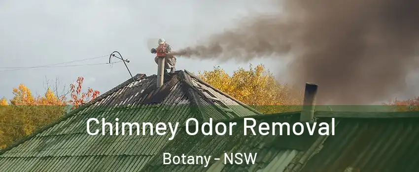 Chimney Odor Removal Botany - NSW