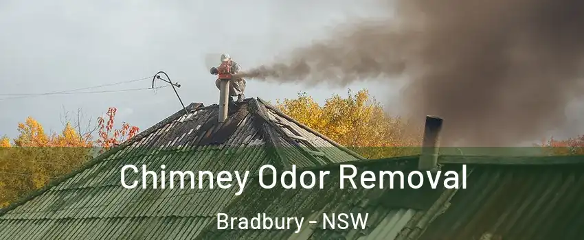 Chimney Odor Removal Bradbury - NSW