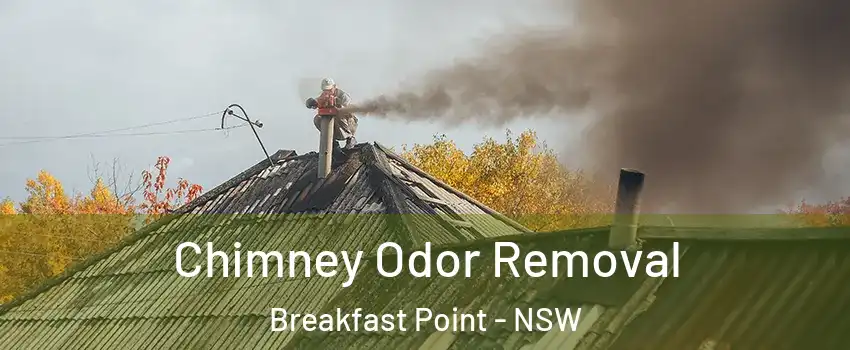 Chimney Odor Removal Breakfast Point - NSW