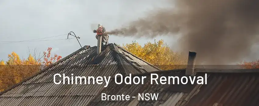 Chimney Odor Removal Bronte - NSW