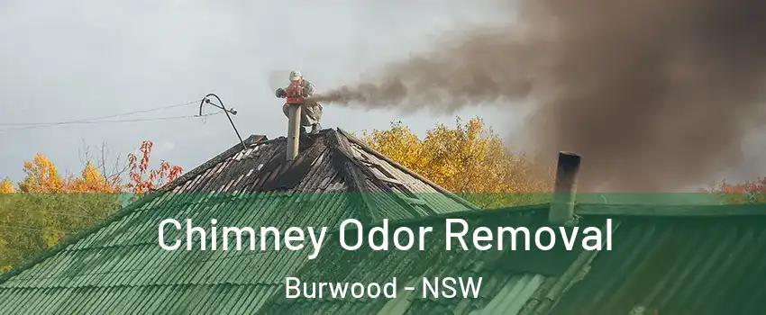 Chimney Odor Removal Burwood - NSW