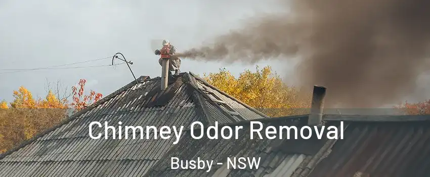 Chimney Odor Removal Busby - NSW