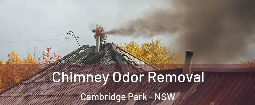 Chimney Odor Removal Cambridge Park - NSW