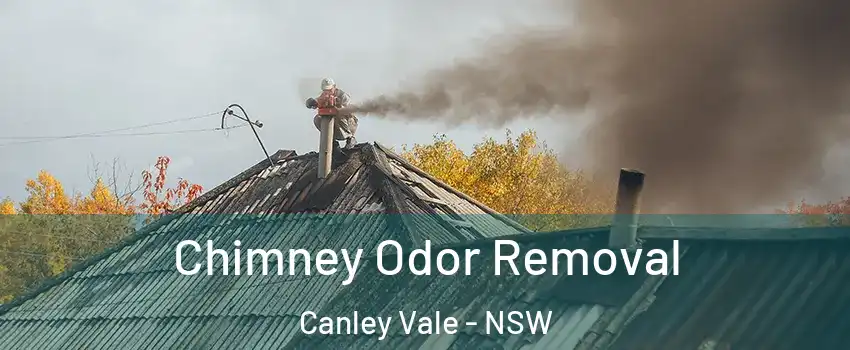 Chimney Odor Removal Canley Vale - NSW