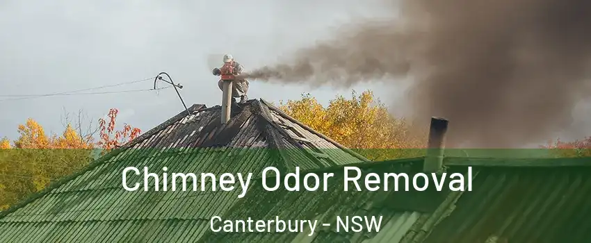  Chimney Odor Removal Canterbury - NSW