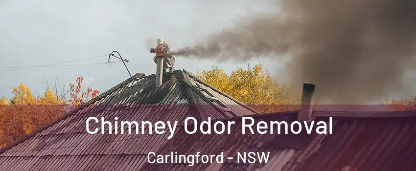 Chimney Odor Removal Carlingford - NSW