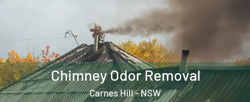 Chimney Odor Removal Carnes Hill - NSW