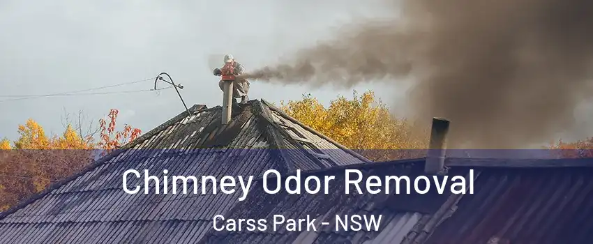 Chimney Odor Removal Carss Park - NSW