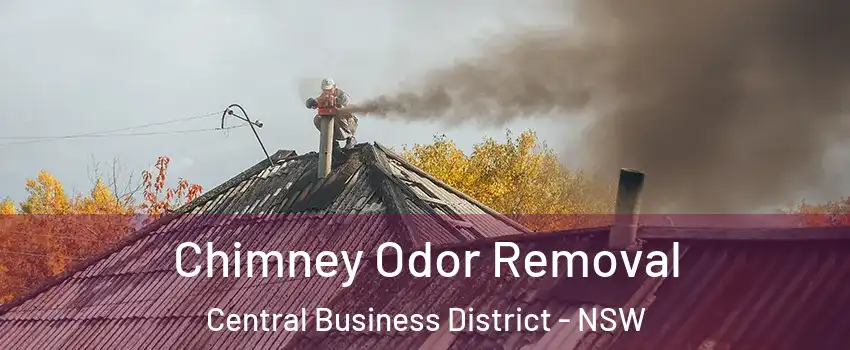 Chimney Odor Removal Central Business District - NSW