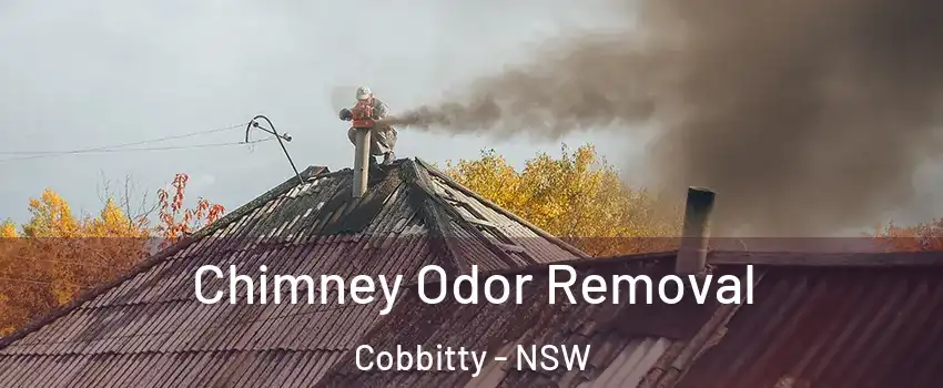 Chimney Odor Removal Cobbitty - NSW