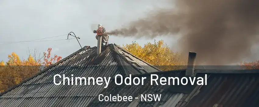 Chimney Odor Removal Colebee - NSW