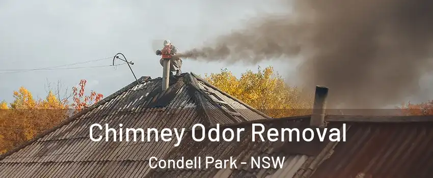 Chimney Odor Removal Condell Park - NSW