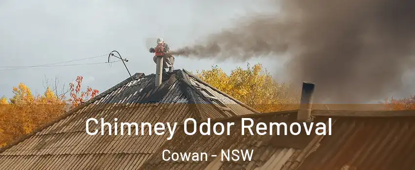 Chimney Odor Removal Cowan - NSW