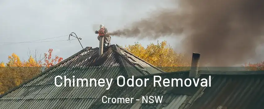 Chimney Odor Removal Cromer - NSW
