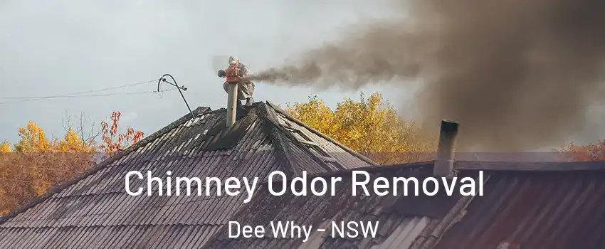 Chimney Odor Removal Dee Why - NSW
