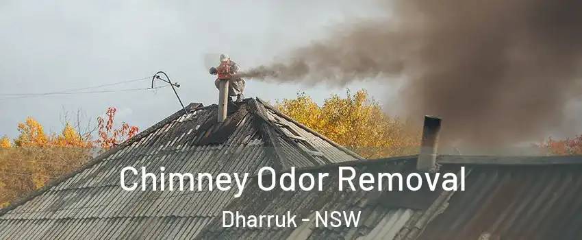 Chimney Odor Removal Dharruk - NSW