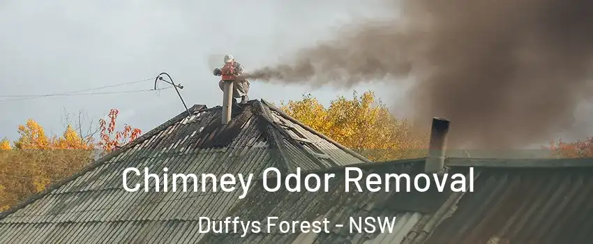 Chimney Odor Removal Duffys Forest - NSW