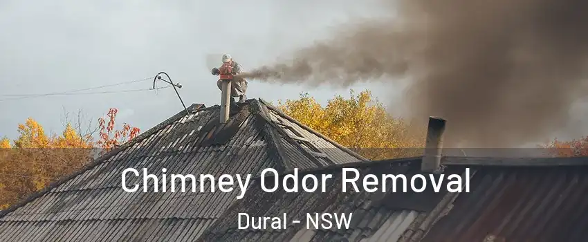 Chimney Odor Removal Dural - NSW