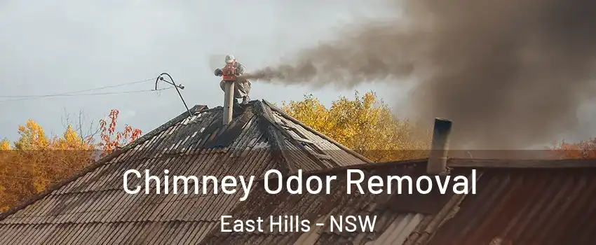 Chimney Odor Removal East Hills - NSW