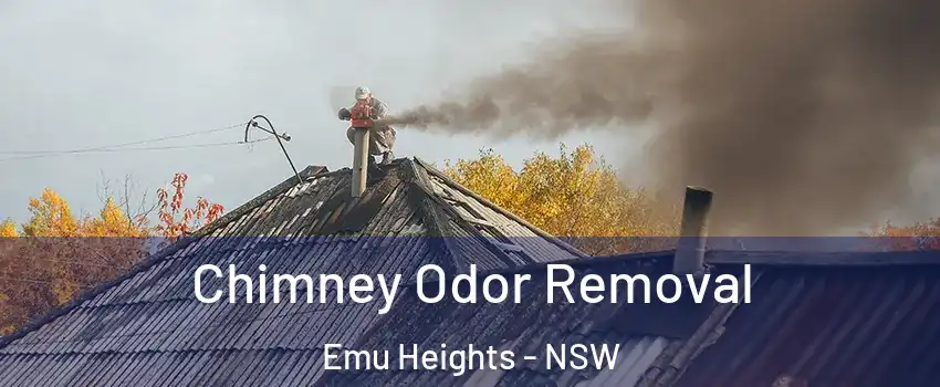 Chimney Odor Removal Emu Heights - NSW