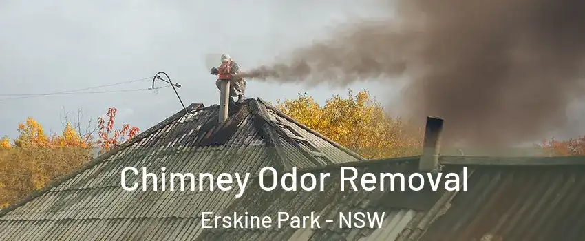 Chimney Odor Removal Erskine Park - NSW