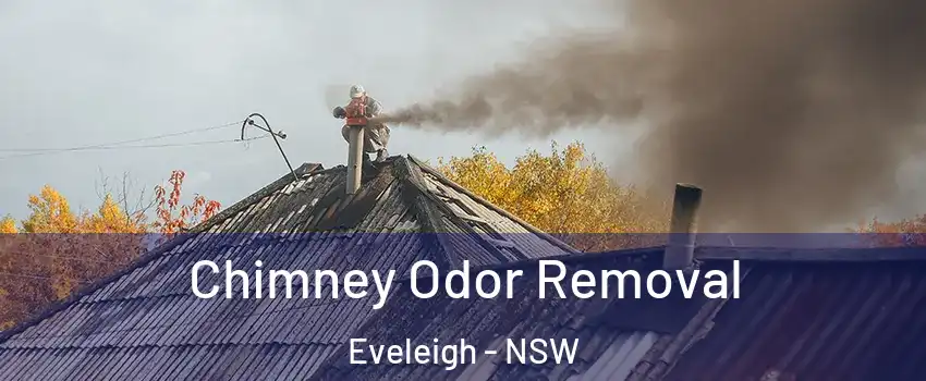 Chimney Odor Removal Eveleigh - NSW